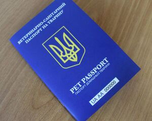 Vetpassport-1-500x398.jpg