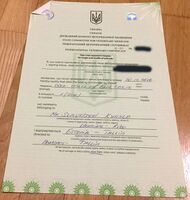 Ветеринарный сертификат