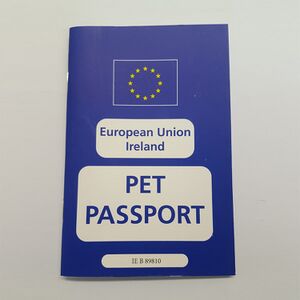 Passport ie.jpg