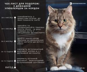 Cek-list копия.jpg